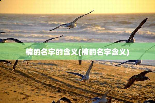 楠的名字的含义(楠的名字含义)