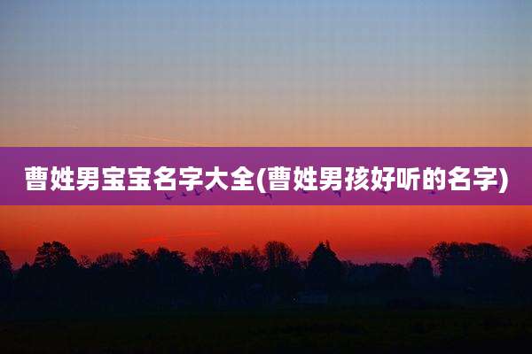 曹姓男宝宝名字大全(曹姓男孩好听的名字)