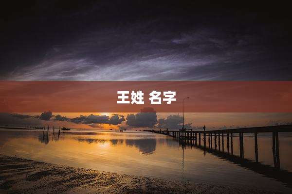 王姓 名字
