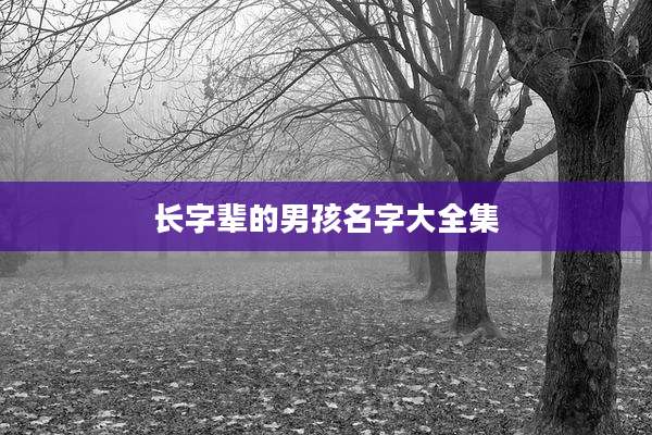 长字辈的男孩名字大全集
