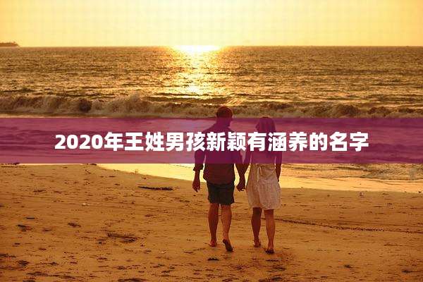 2020年王姓男孩新颖有涵养的名字