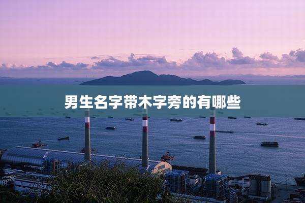 男生名字带木字旁的有哪些