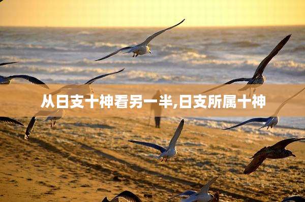 从日支十神看另一半,日支所属十神