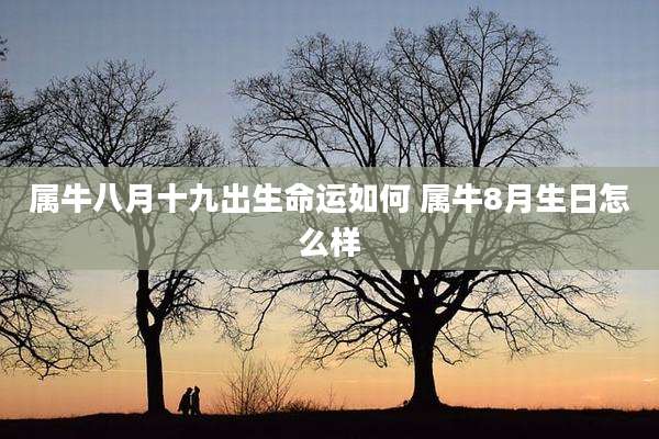 属牛八月十九出生命运如何 属牛8月生日怎么样