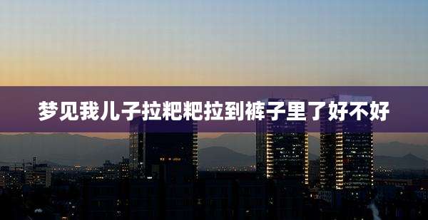 梦见我儿子拉粑粑拉到裤子里了好不好