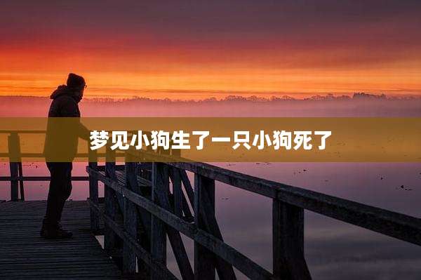 梦见小狗生了一只小狗死了