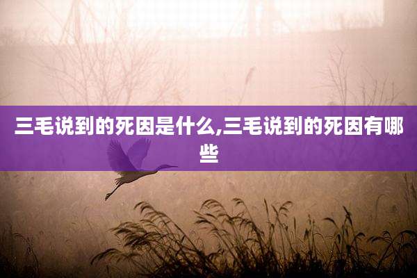 三毛说到的死因是什么,三毛说到的死因有哪些