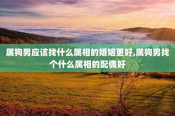 属狗男应该找什么属相的婚姻更好,属狗男找个什么属相的配偶好
