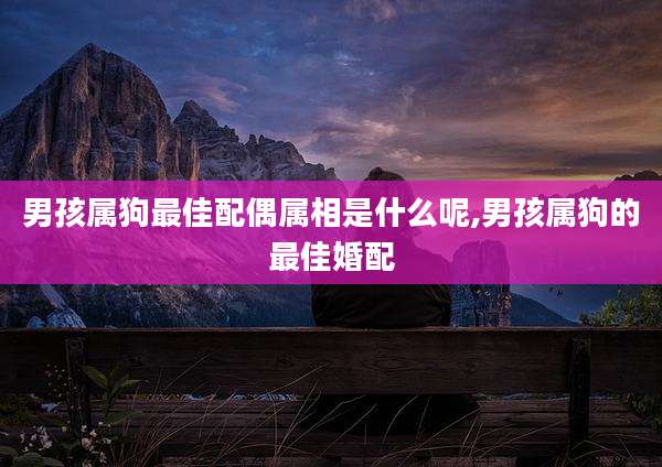 男孩属狗最佳配偶属相是什么呢,男孩属狗的最佳婚配