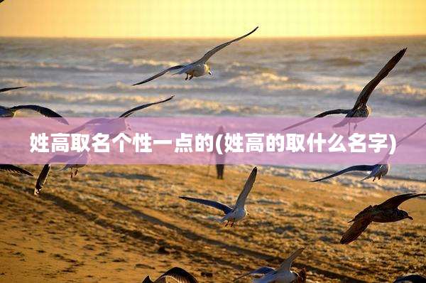 姓高取名个性一点的(姓高的取什么名字)