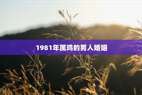 1981年属鸡的男人婚姻