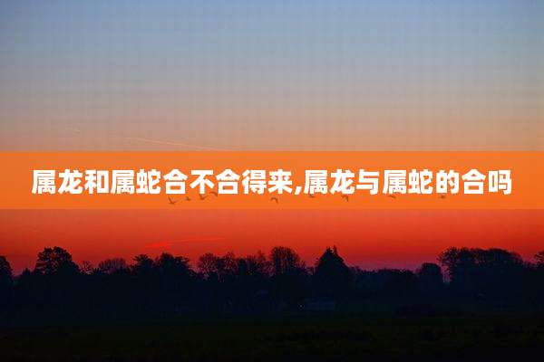属龙和属蛇合不合得来,属龙与属蛇的合吗