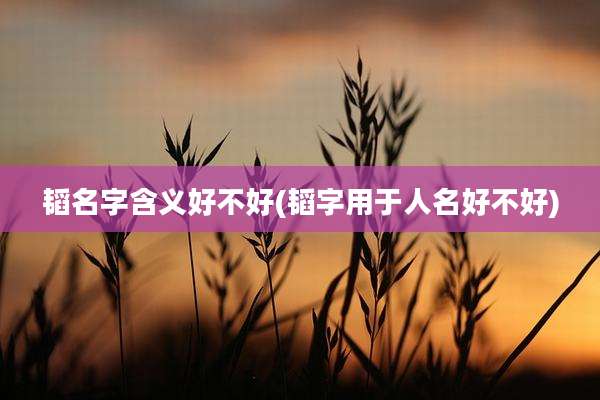 韬名字含义好不好(韬字用于人名好不好)