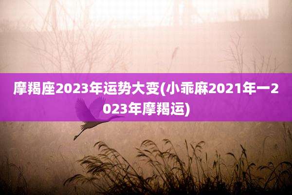 摩羯座2023年运势大变(小乖麻2021年一2023年摩羯运)
