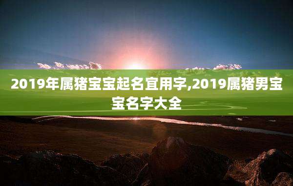 2019年属猪宝宝起名宜用字,2019属猪男宝宝名字大全