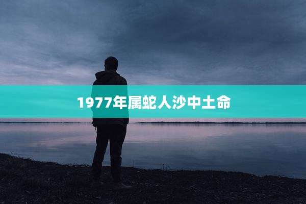 1977年属蛇人沙中土命