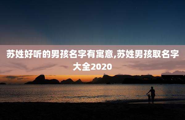 苏姓好听的男孩名字有寓意,苏姓男孩取名字大全2020