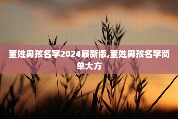 董姓男孩名字2024最新版,董姓男孩名字简单大方