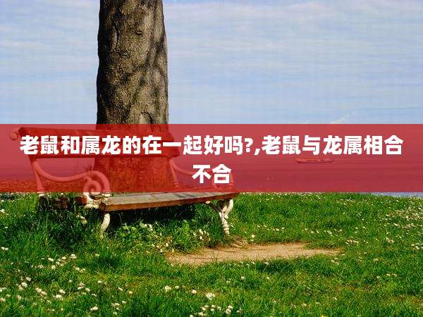 老鼠和属龙的在一起好吗?,老鼠与龙属相合不合