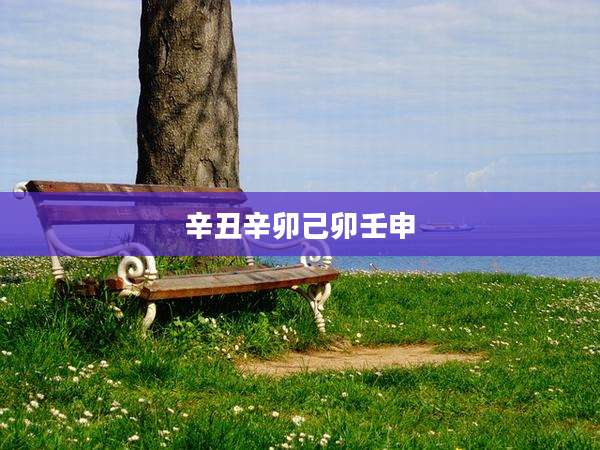 辛丑辛卯己卯壬申