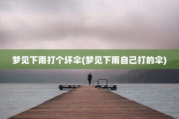 梦见下雨打个坏伞(梦见下雨自己打的伞)