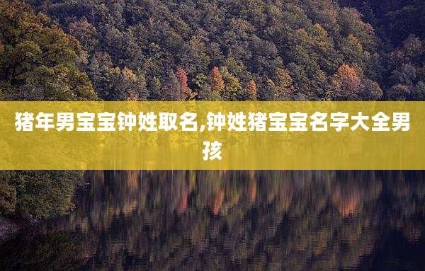 猪年男宝宝钟姓取名,钟姓猪宝宝名字大全男孩