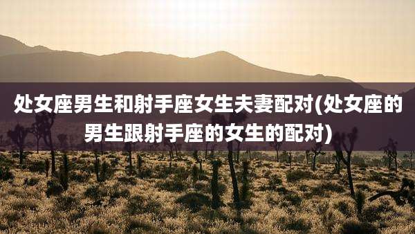 处女座男生和射手座女生夫妻配对(处女座的男生跟射手座的女生的配对)