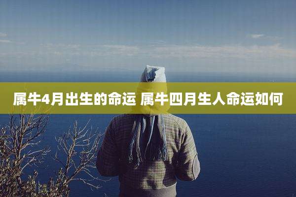 属牛4月出生的命运 属牛四月生人命运如何