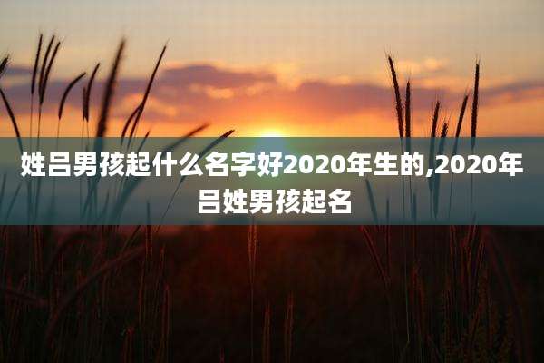 姓吕男孩起什么名字好2020年生的,2020年吕姓男孩起名