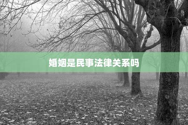 婚姻是民事法律关系吗