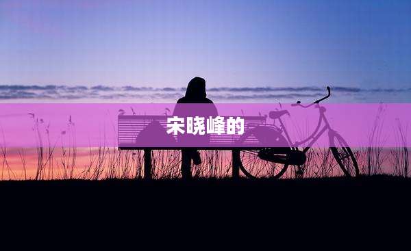 宋晓峰的