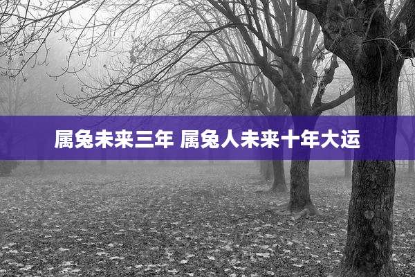 属兔未来三年 属兔人未来十年大运