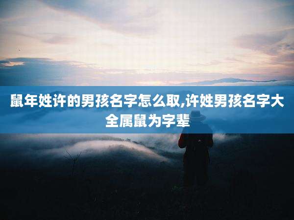 鼠年姓许的男孩名字怎么取,许姓男孩名字大全属鼠为字辈
