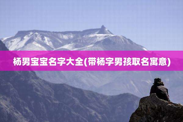 杨男宝宝名字大全(带杨字男孩取名寓意)