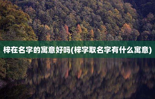 梓在名字的寓意好吗(梓字取名字有什么寓意)