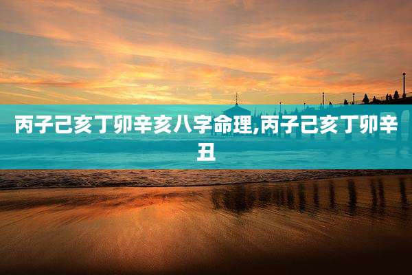 丙子己亥丁卯辛亥八字命理,丙子己亥丁卯辛丑