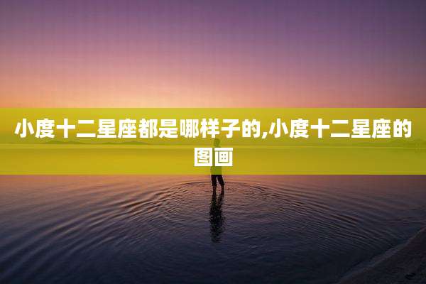 小度十二星座都是哪样子的,小度十二星座的图画
