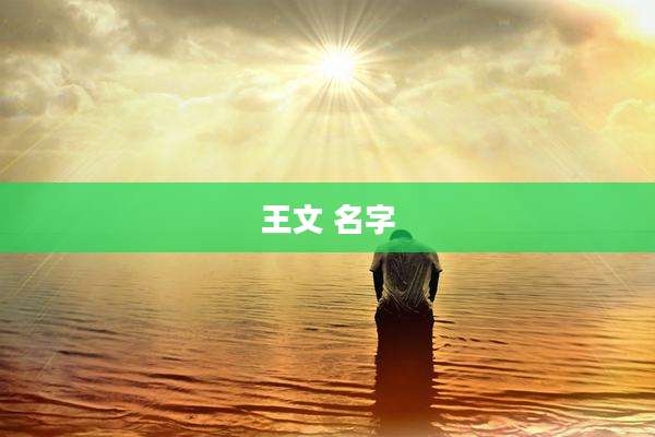 王文 名字
