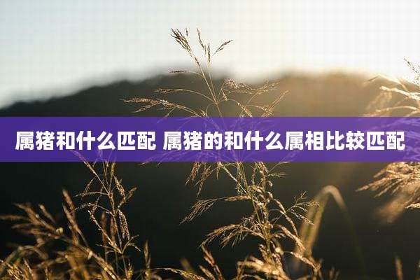 属猪和什么匹配 属猪的和什么属相比较匹配