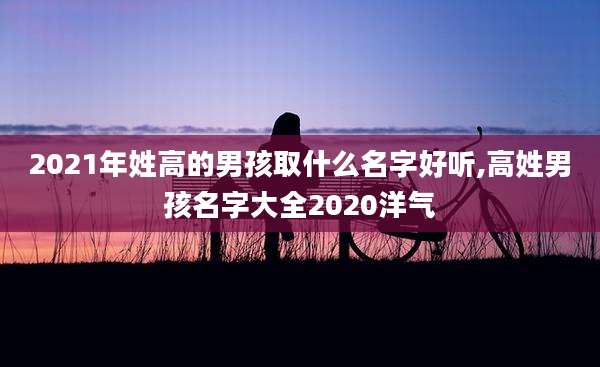 2021年姓高的男孩取什么名字好听,高姓男孩名字大全2020洋气