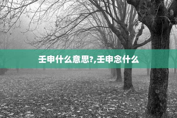 壬申什么意思?,壬申念什么