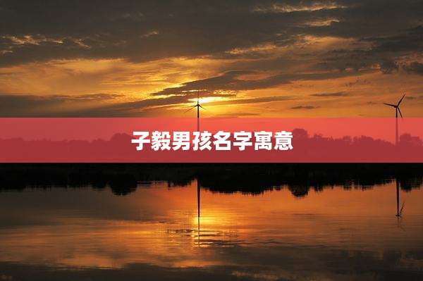 子毅男孩名字寓意