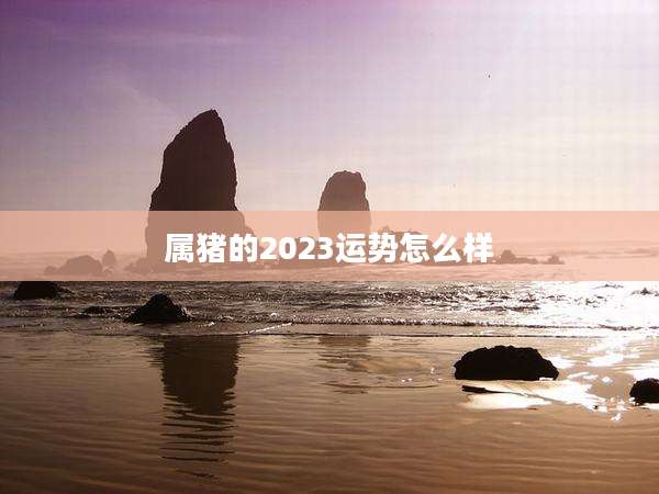 属猪的2023运势怎么样