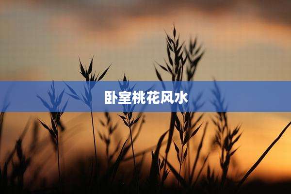 卧室桃花风水