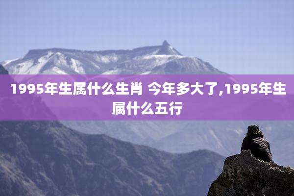 1995年生属什么生肖 今年多大了,1995年生属什么五行