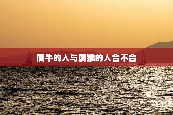 属牛的人与属猴的人合不合