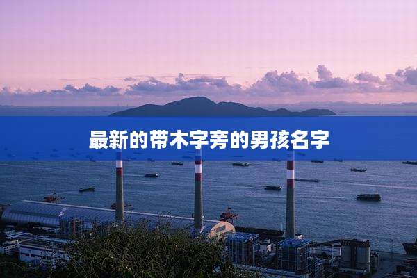最新的带木字旁的男孩名字