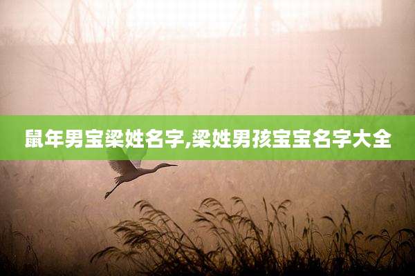 鼠年男宝梁姓名字,梁姓男孩宝宝名字大全