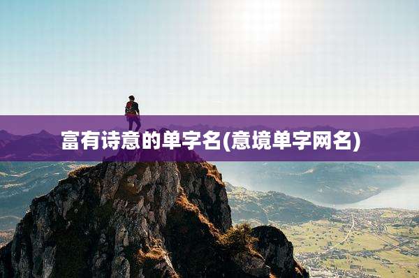 富有诗意的单字名(意境单字网名)