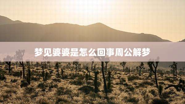 梦见婆婆是怎么回事周公解梦